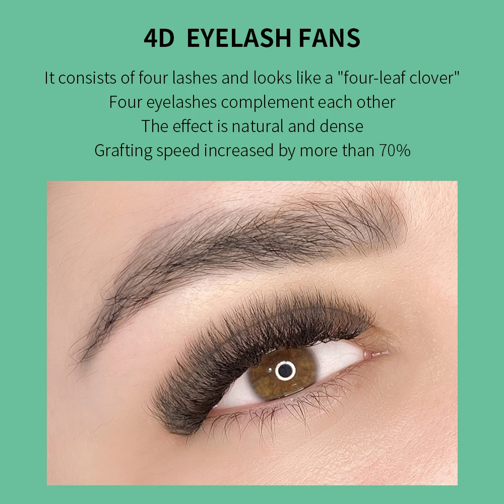 GLAMLASH 4D W Shape Eyelash Ex - огляд і ціна Eyelash Extension For Asian Eyes