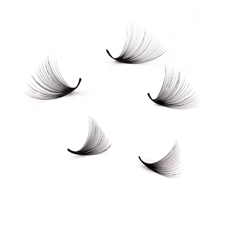 Lashprofessor XL Tray 3D 4D 5D - огляд і ціна Eyelash Extension Russian