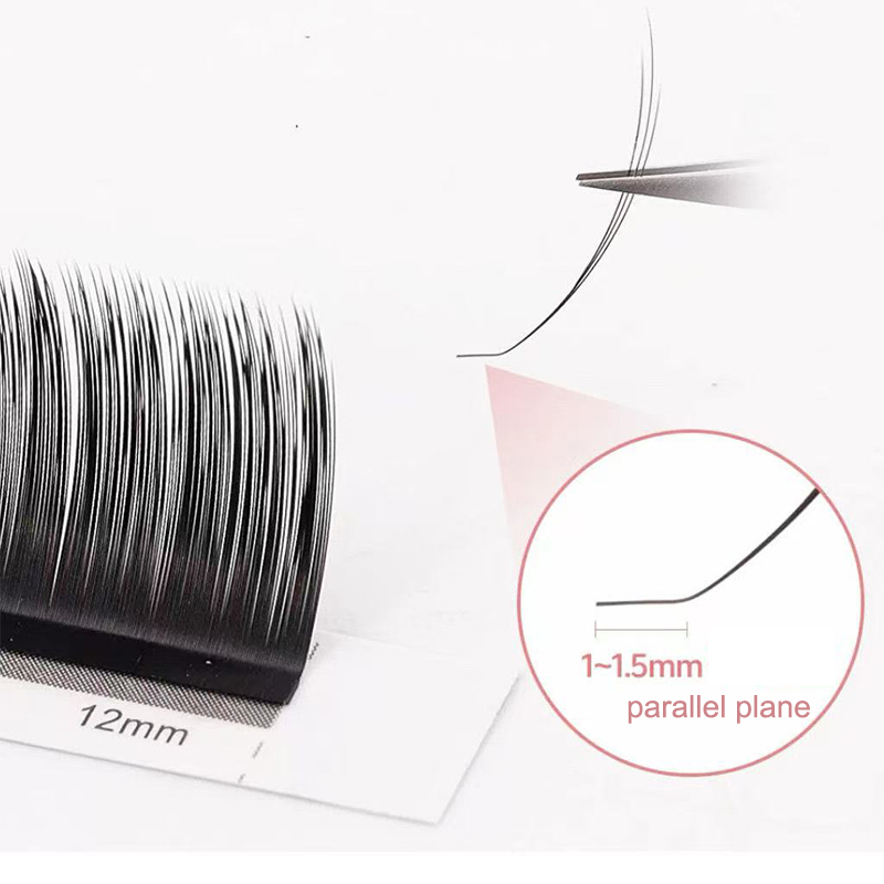 dream ballet Camellia Lashes w - огляд і ціна Eyelash Extension Russian
