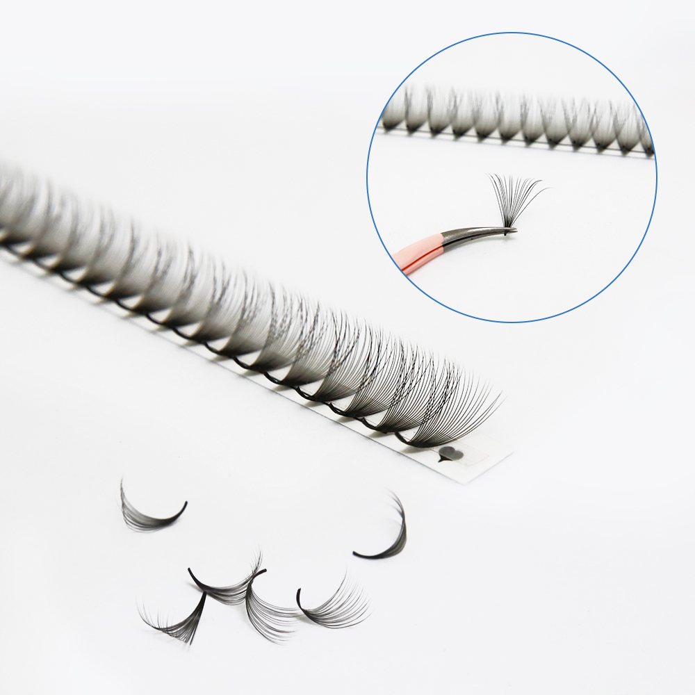 JB Jeyelabeau 6D 10D 20D 30D P - огляд і ціна Eyelash Extension Russian