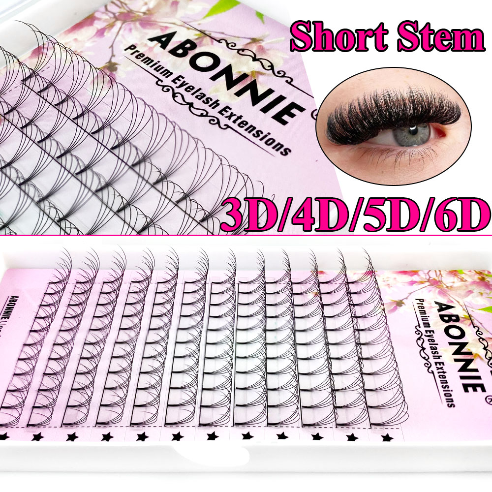 Abonnie 6D Narrow Fan Premade  - огляд і ціна Eyelash Extension Russian