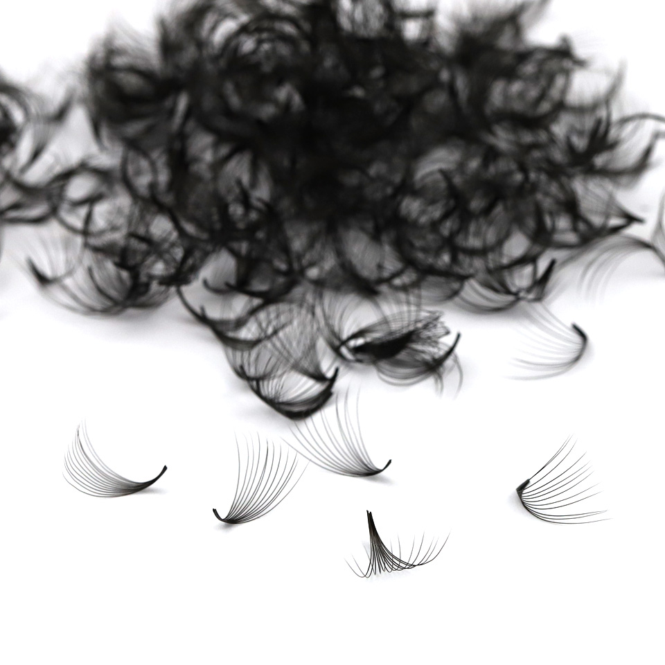 AGUUD 30D 40D Cluster Loose Fa - огляд і ціна Eyelash Extension Russian